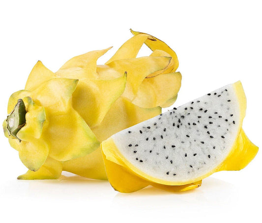 Yellow Dragonfruit Seeds - 10+ Pack - Pitaya Cactus - Hylocereus