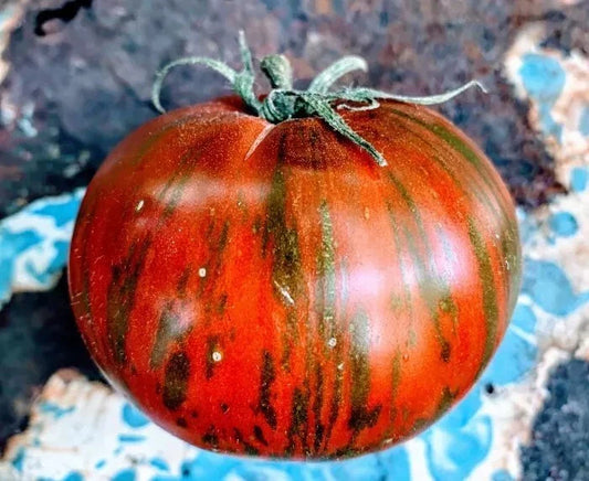Vintage Wine Striped Tomato Seeds - Heirloom Beefsteak - 120+ Seeds - Rare Heirloom Variety - Organic Gardening