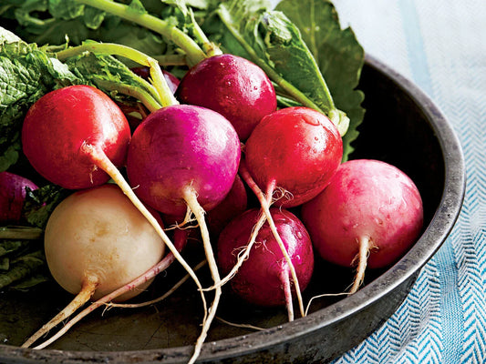 Easter Egg Radish Seeds, NON-GMO, Fast Harvest, Assorted Colors, Raphanus sativus