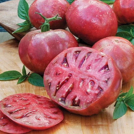 Cherokee Purple Beefsteak Tomato Seeds - 200 Non-GMO Heirloom Seeds - Solanum lycopersicum