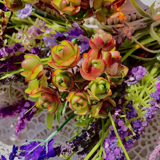 Live Aeonium Saundersii Pinheads Succulent – Bare Root Plant, Unique Wedding Favors, Drought-Tolerant Decor