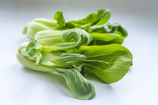 Pak Choi Seeds - 800+ Seeds - Chinese Cabbage Variety - Brassica rapa - Non-GMO, Heirloom, Free US Shipping