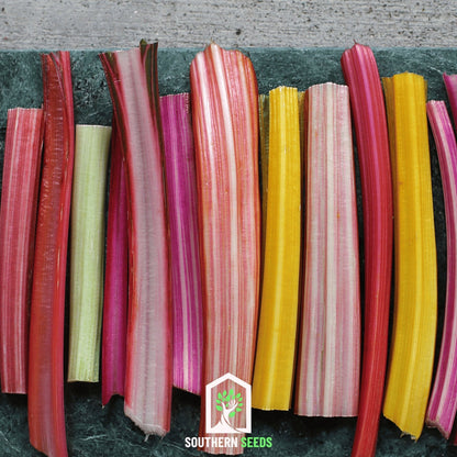 Rainbow Swiss Chard – 150 Seeds
