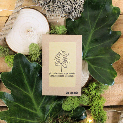 "The Popular Kids" Houseplant Seed Collection