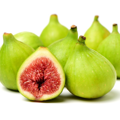 White Adriatic Fig Tree Cuttings | 5 Unrooted Cuttings | Heirloom Variety | Easy to Root | Home Garden Fruit Plant