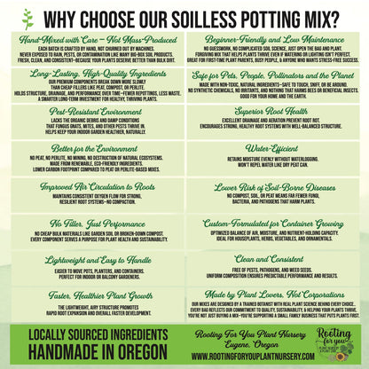 BioChar Soil Amendment